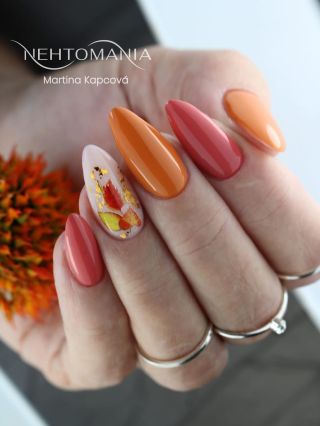 Podzimní Pumpkin, Stella a modeláž našim novinkovým B&B gelem Legendary ❤️ . @kapcovamartina . #love#beautiful #instagood...